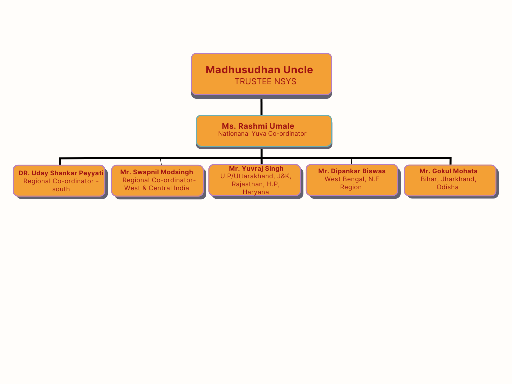 NSYS National Trust Organizational Chart